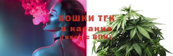 кристаллы Гусь-Хрустальный