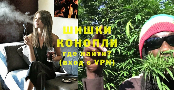 молекула духа Нефтекумск