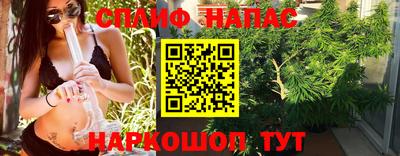 jwh Кингисепп