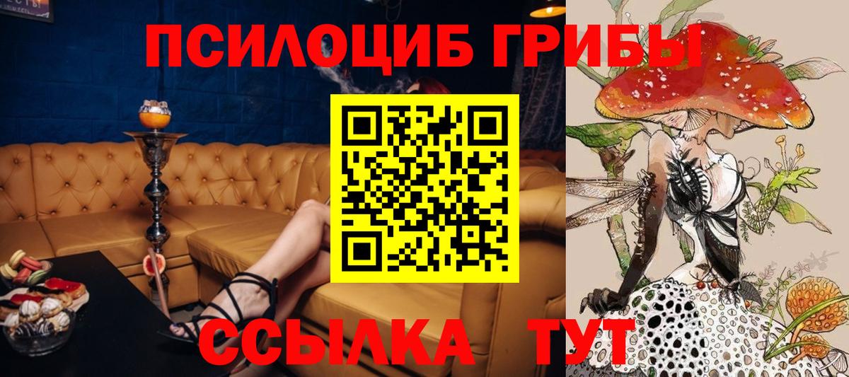 где можно купить   Вход с VPN  Реж  Галлюциногенные грибы прущие грибы 